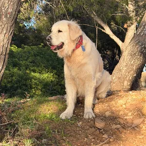 Cindy - Chief Guard