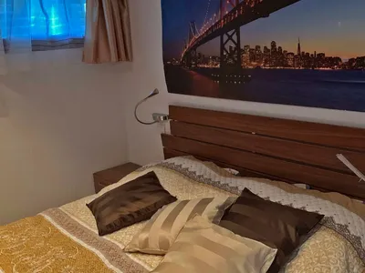Large Apartment gallery image 5