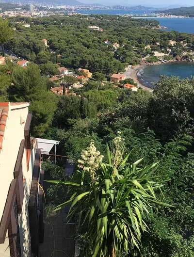 Potted plants on sunny balcony